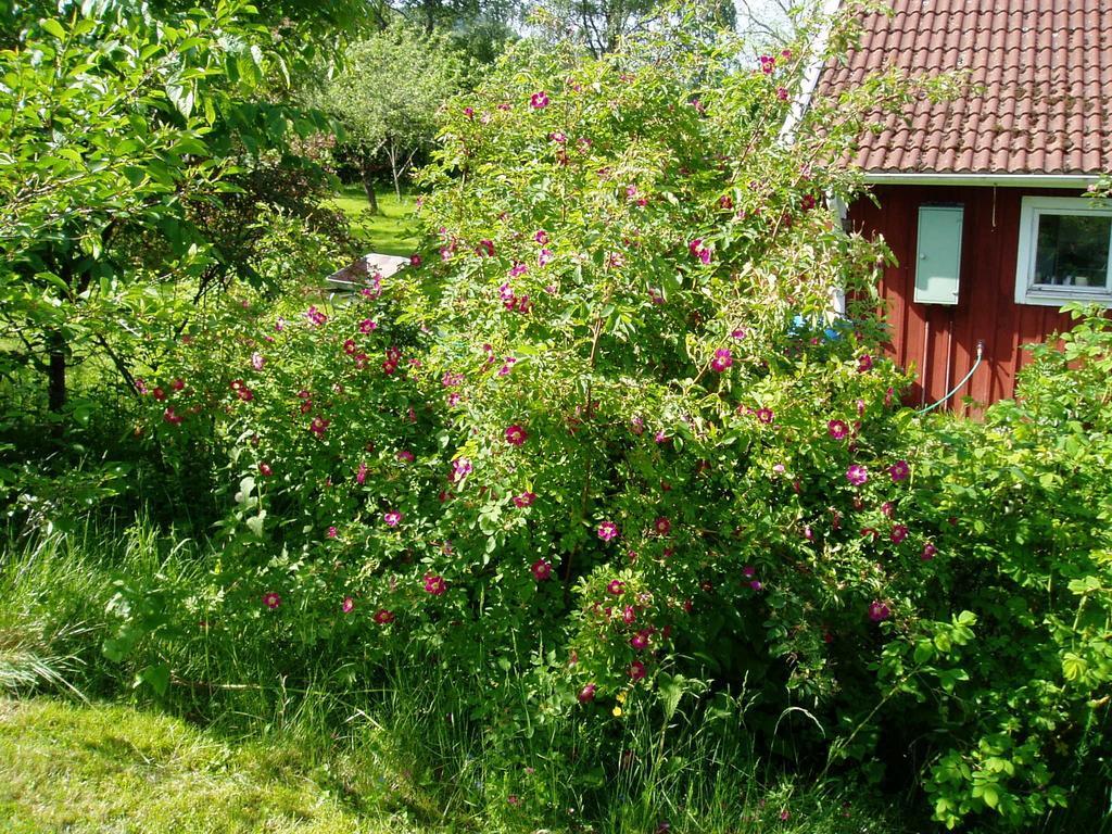 Langesater B&B Lerdala Dış mekan fotoğraf